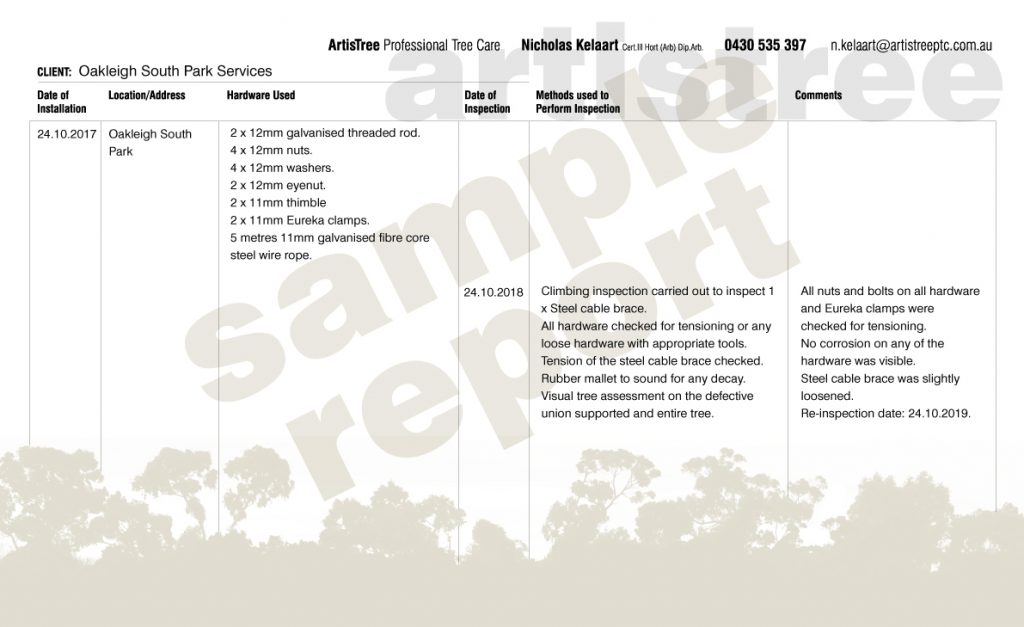 picture of artistree's sample report which is a record of all advice and management including treatment of the tree in question