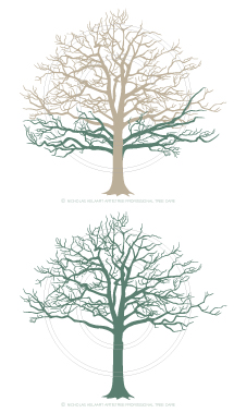 artistree diagram showing tree before and after crown liftting and which parts were removed