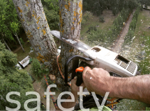 artistree pic of correct usage of a chain saw and correct way to remove a branch in relation to handlers body