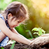 little girl planting a small tree
