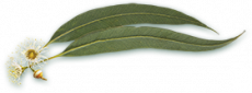 footer-logo